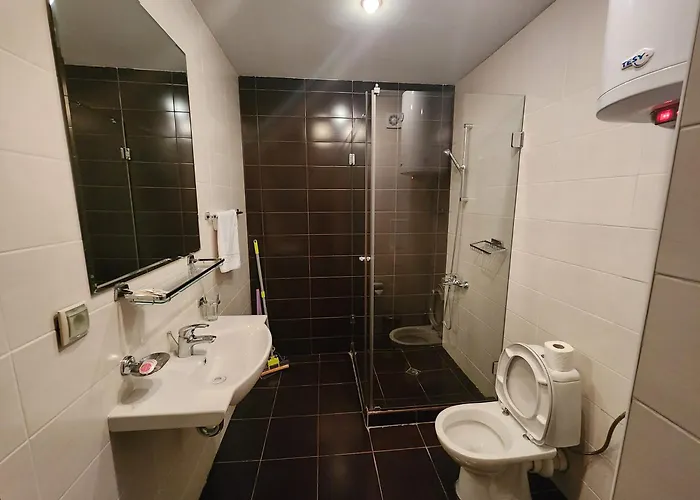 Pirin View 公寓 班斯科