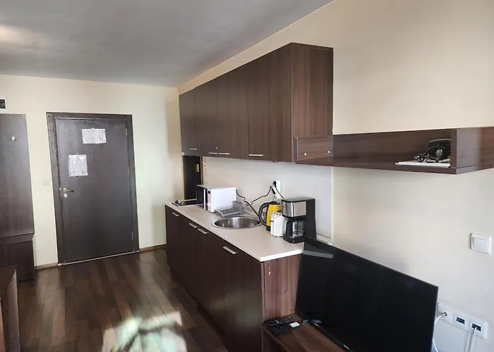 公寓 Pirin View 班斯科